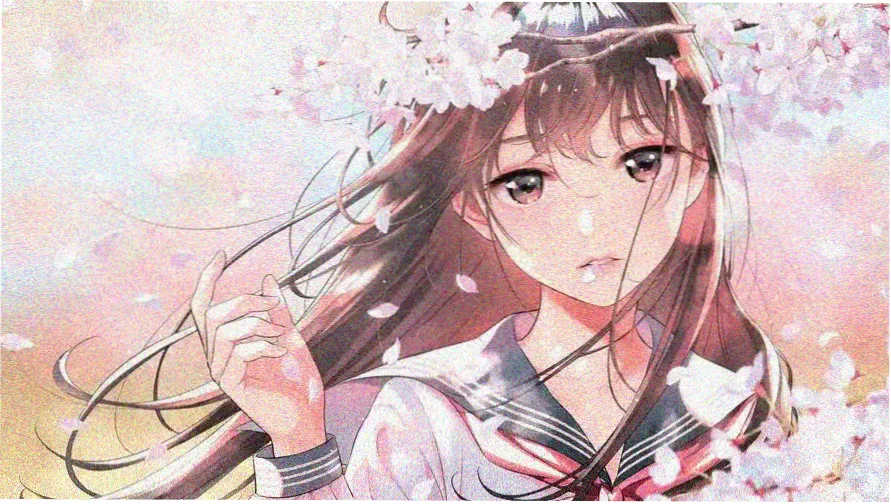 海贼王